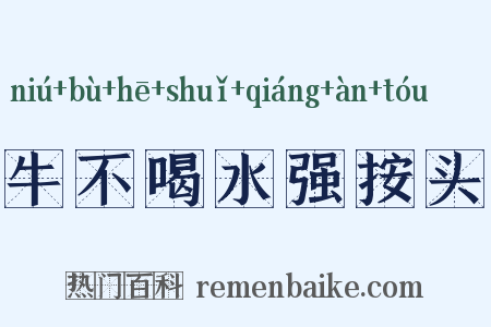 牛不喝水强按头是什么意思的图片